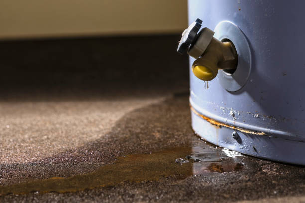 Best Water damage restoration specialists  in Edgewood, IN