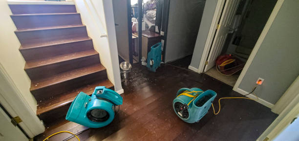 Best 24/7 water damage repair  in Edgewood, IN