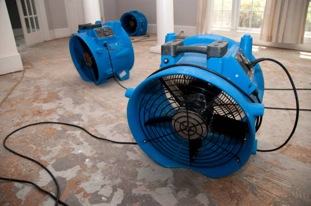 Best Water damage restoration company  in Edgewood, IN