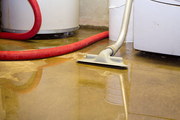 Best Flooded house restoration  in Edgewood, IN