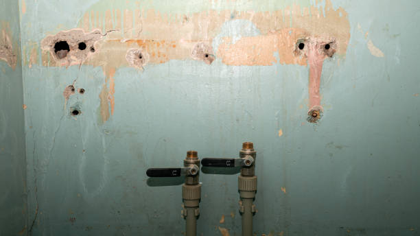 Best Emergency water damage restoration  in Edgewood, IN