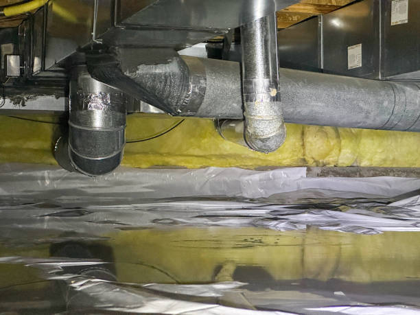 Best Water damage contractors near me  in Edgewood, IN